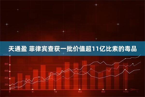 天通盈 菲律宾查获一批价值超11亿比索的毒品