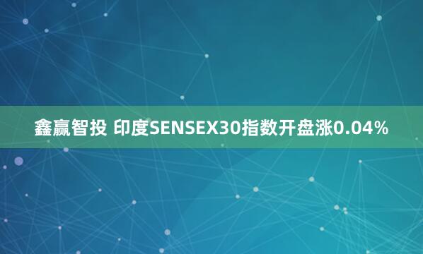 鑫赢智投 印度SENSEX30指数开盘涨0.04%