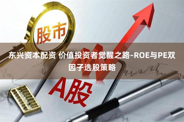 东兴资本配资 价值投资者觉醒之路-ROE与PE双因子选股策略