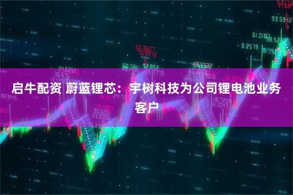 启牛配资 蔚蓝锂芯：宇树科技为公司锂电池业务客户
