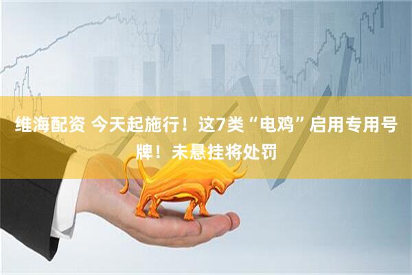 维海配资 今天起施行！这7类“电鸡”启用专用号牌！未悬挂将处罚