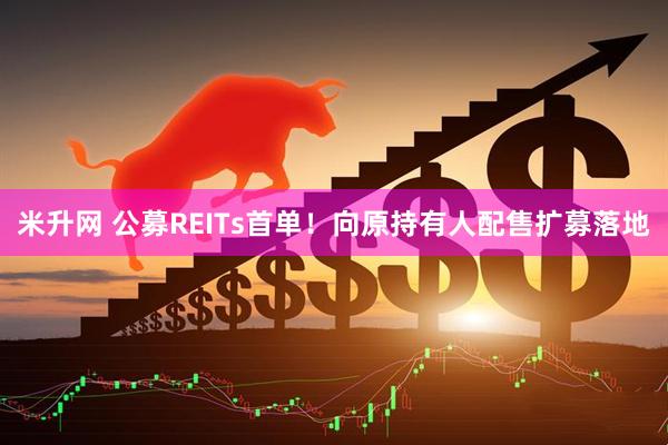 米升网 公募REITs首单!向原持有人配售扩募落地